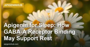 Apigenin for Sleep: How GABA-A Receptor Binding May Support Rest