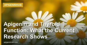 Apigenin and Thyroid Function: What the Current Research Shows